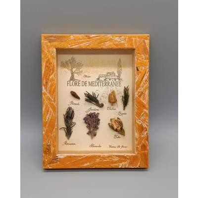 Cadre Tableau Flore de Méditerranée Kervije