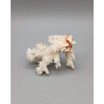 Ancien Corail Blanc Naturel