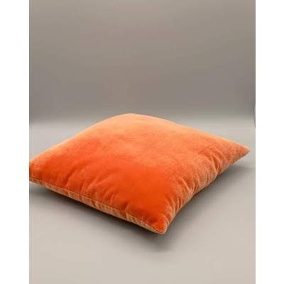 Coussin Velours Vintage