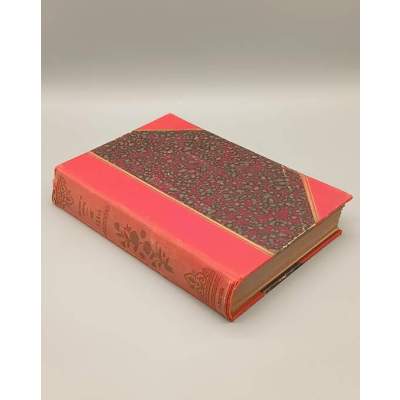 Les vrais Robinsons, Naufrages-Solitudes-Voyages de Denis et Chauvin 