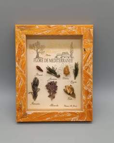 Cadre Tableau Flore de Méditerranée Kervije