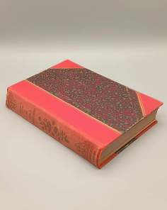 Les vrais Robinsons, Naufrages-Solitudes-Voyages de Denis et Chauvin 