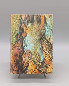 Nez-de-Cuir Gentilhomme d'Amour Jean de la Varende